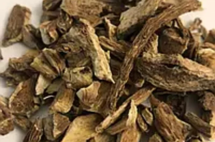 Куплю корінь девясилу- фото № 1