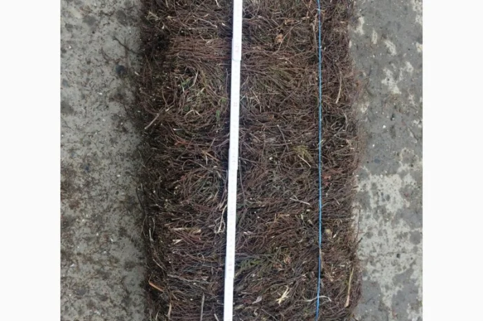 Куплю Верес (гілки)- фото № 1