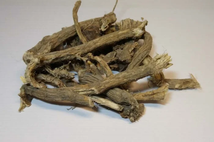 Закупаем корень, кульбабы ЛОПУХА, Калган, аира, Алтея от населения- фото № 1