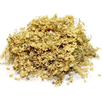 Закупаем сухой цвет бузины и липы.Оплата наличными.Вся Украина- фото № 1