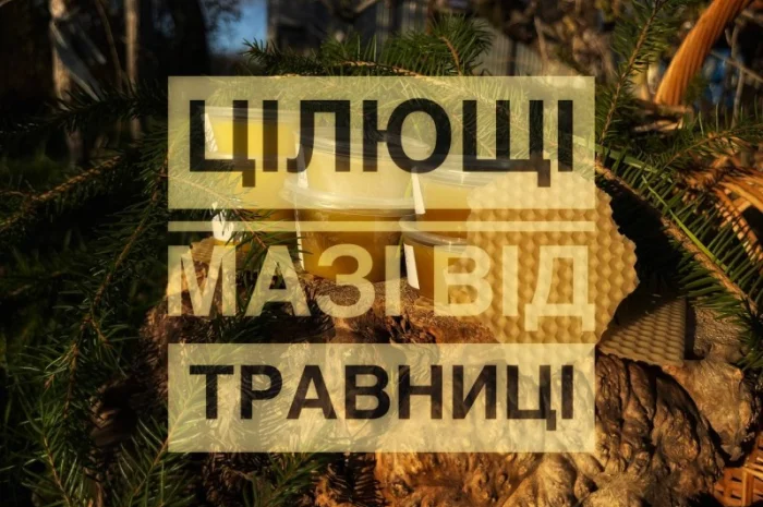 Цілющі мазі від травниці- фото № 1
