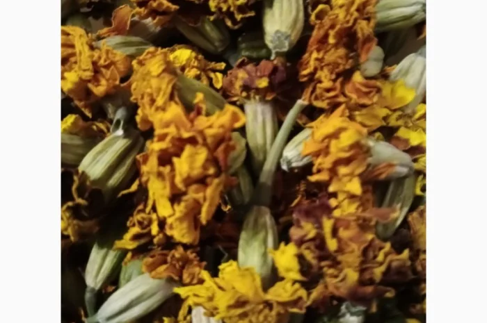 Продам квіти корзинки чорнобривців сухі- фото № 3