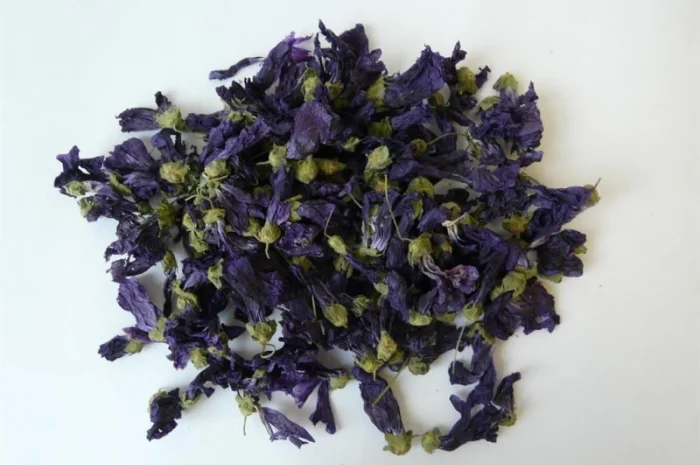 Куплю цвіт мальви мавританської- фото № 3