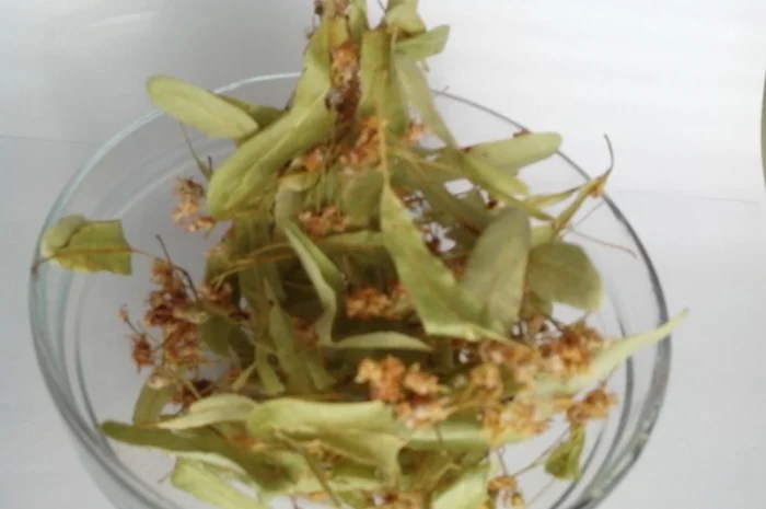 Липовый цвет продам цвіт липи- фото № 1