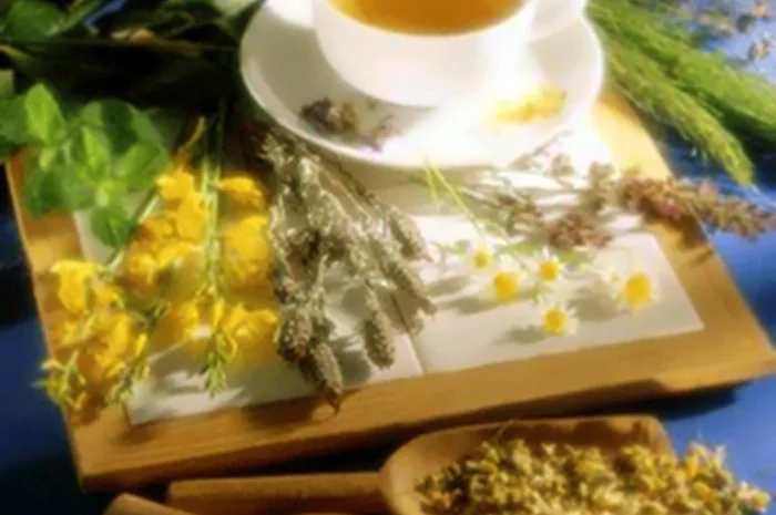 Продам лекарственные травы- фото № 1