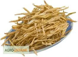 Фасоль створки - лечебное средство- фото № 1