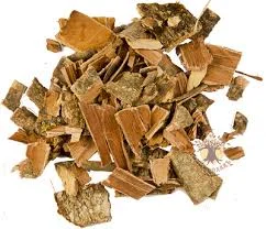 Кора лещины- фото № 1