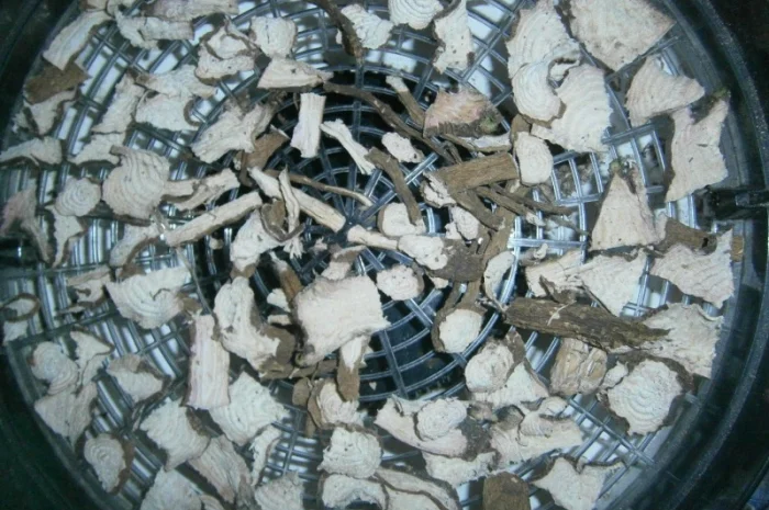 Сроно продам корень лаконоса американского резаный, сушеный- фото № 2