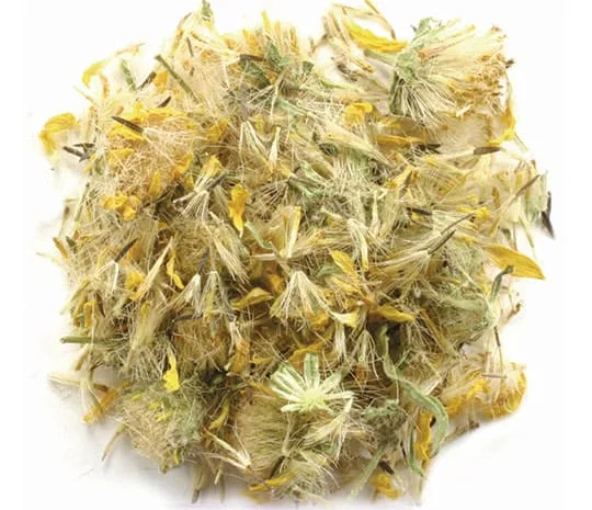 Арніка гірської квітки (Карпати)- фото № 1