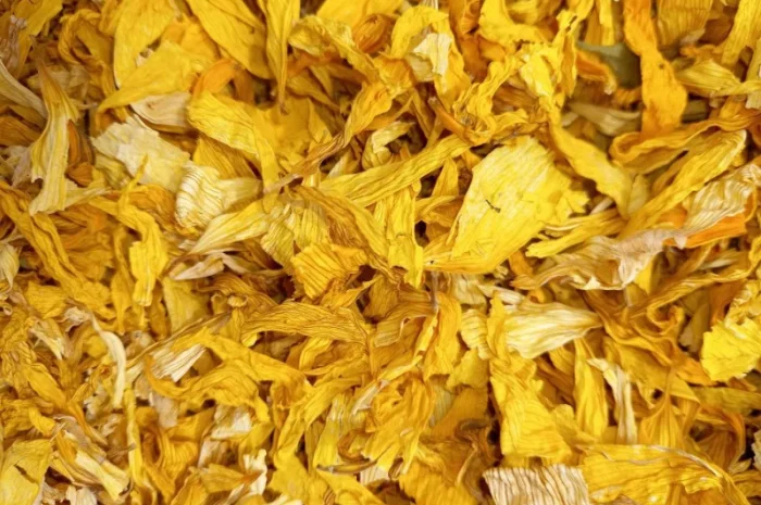 Куплю пелюстки соняшнику- фото № 1