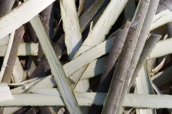 Кора верби- фото № 1