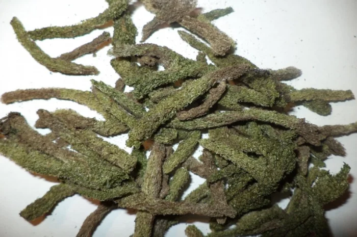 Куплю бадягу речную губку- фото № 2