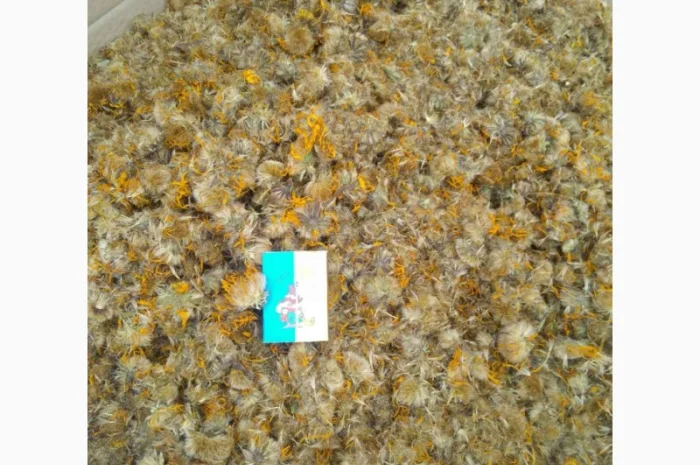 Арніка гірська (сухі квіткові кошики)- фото № 1