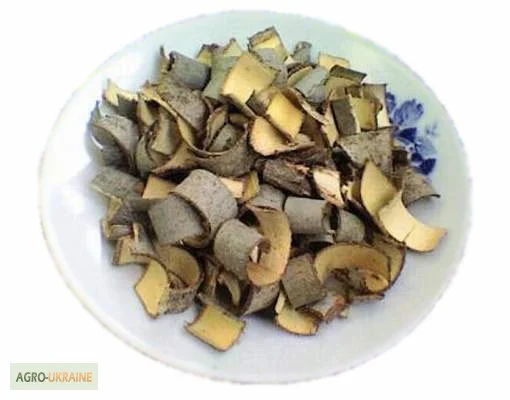 Продам кору осины, 50 грн/100гр- фото № 1