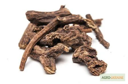 Продается корень живокоста (окопника)- фото № 1