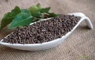 Настойка березовых почек на меду- фото № 3