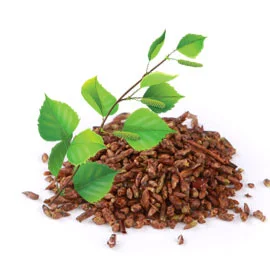 Настойка березовых почек на меду- фото № 4