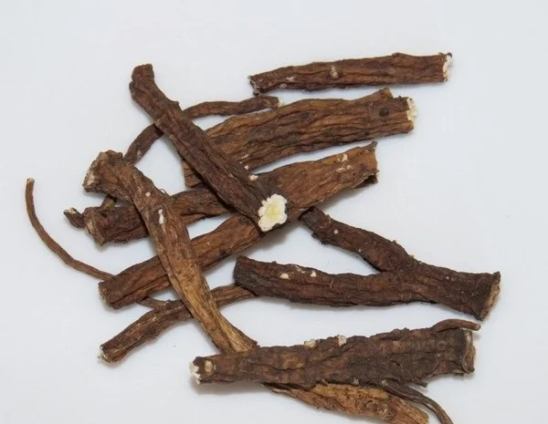 Корень одуванчика- фото № 1