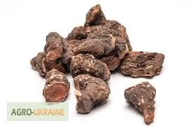 Горец змеиный - лечебное растение- фото № 4