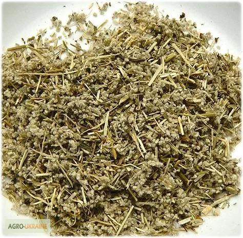 Трава пол пола- фото № 1