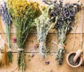 Очищающий омолаживающий сбор- фото № 4