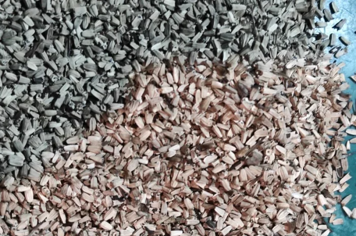 Продам насіння ехінацеї пурпурової- фото № 3