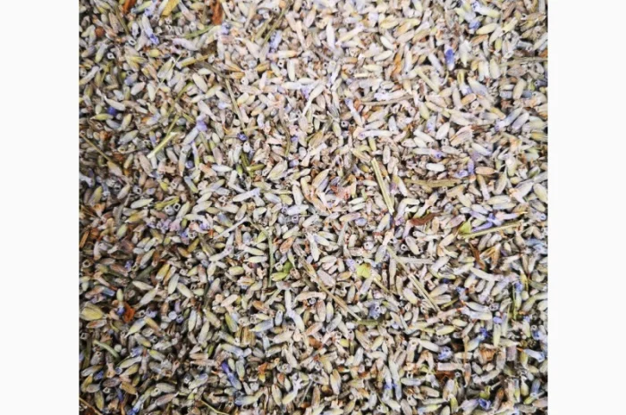 Сухі трушені квіти гібриду лаванди (лавандин) у роздріб та оптом- фото № 1