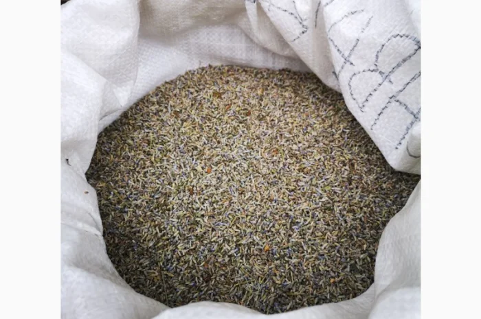 Сухі трушені квіти гібриду лаванди (лавандин) у роздріб та оптом- фото № 2