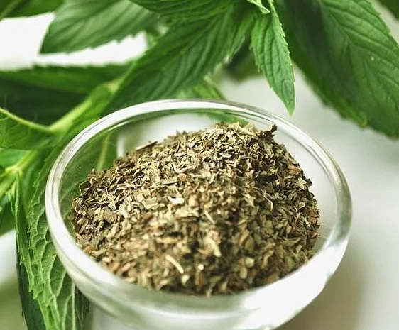 Мята сушеная- фото № 1