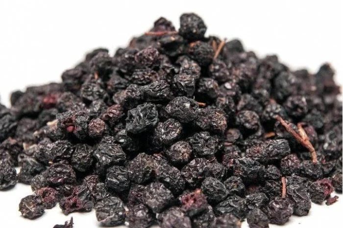 Черноплодная рябина (арония) (плоды)- фото № 1