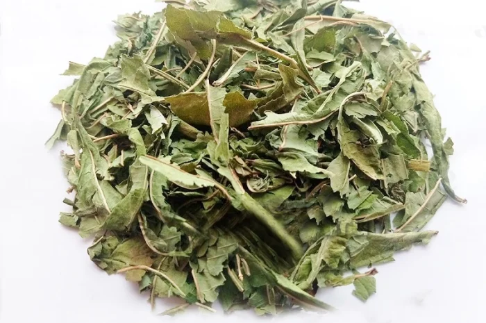 Иван-чай (кипрей) зеленый (лист) 1кг- фото № 1