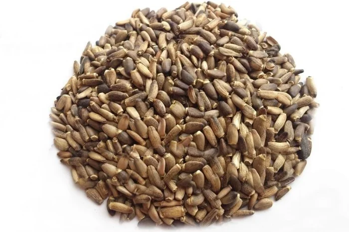 Расторопша семена, 1кг- фото № 1