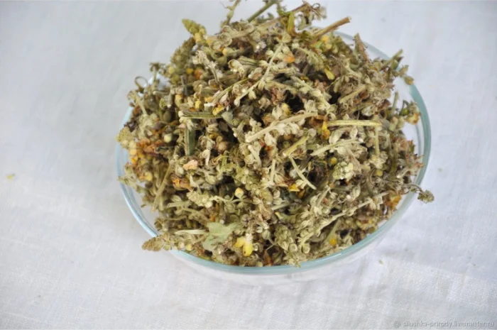 Коровяк (цветы) 1 кг- фото № 1