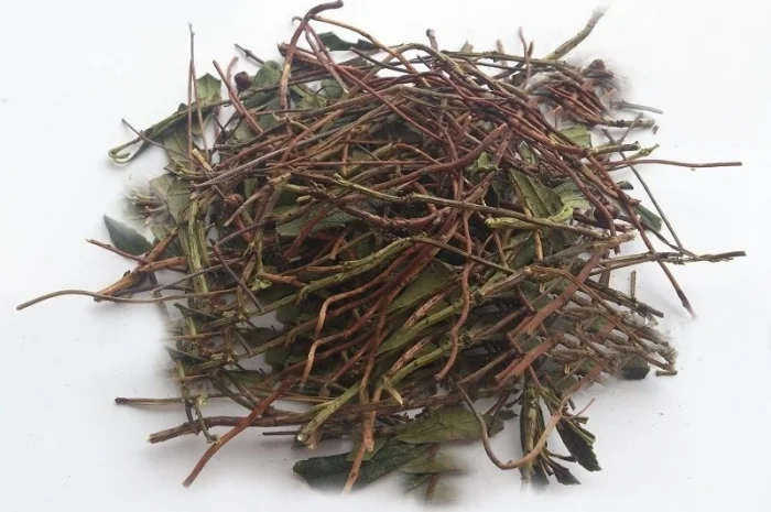 Зимолюбка (трава) 1 кг- фото № 1