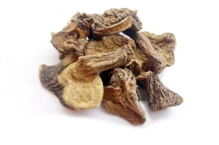 Щавель конский (корень) 1кг- фото № 1