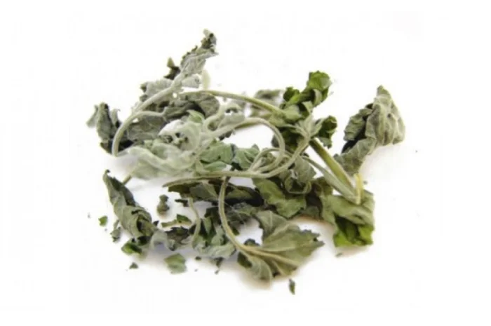 Котовник трава, 1кг- фото № 1