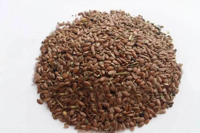 Лён (семена) 1кг- фото № 1