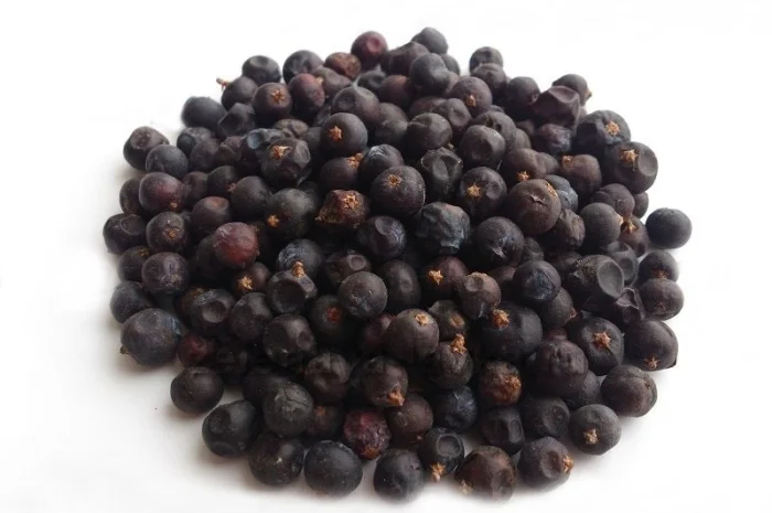 Можжевельник (плоды) 1кг- фото № 1