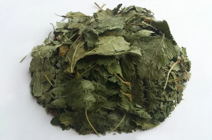 Смородина черная (лист) 1кг- фото № 1