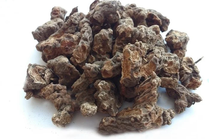 Калган корень(Лапчатка), 1кг- фото № 1