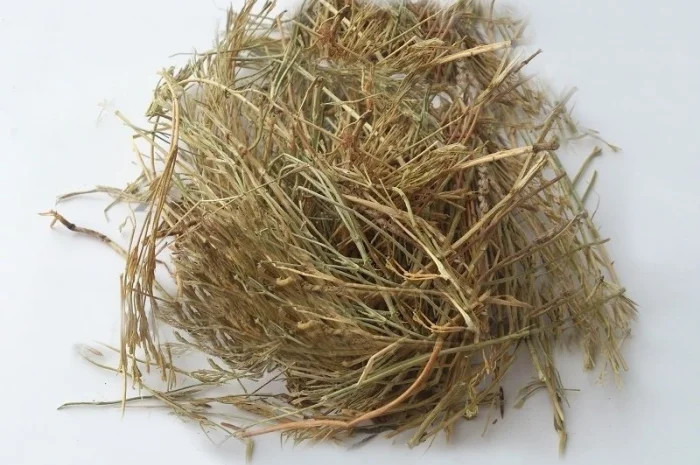 Золототысячник (трава) 1кг- фото № 1