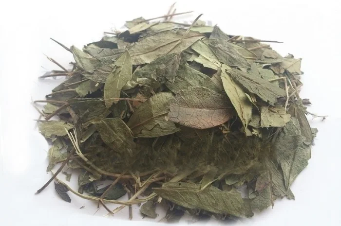 Барвинок (трава) 1 кг- фото № 1