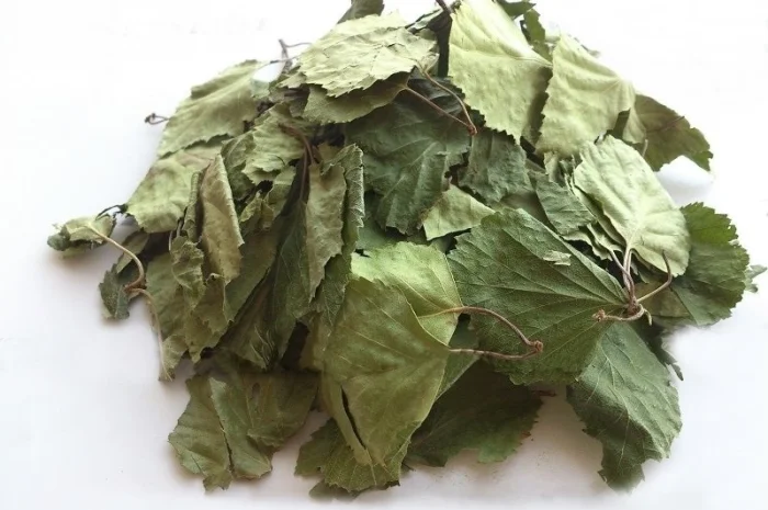 Береза (лист) 1кг- фото № 1