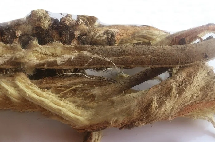 Астрагал шерстистоцветковый (корень) 1кг- фото № 1