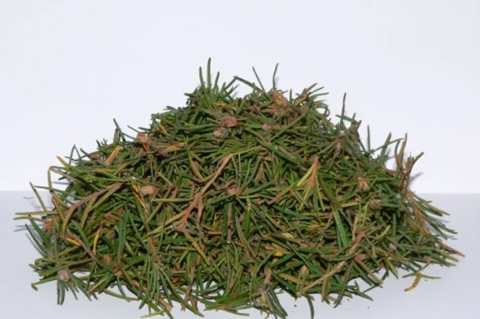 Багульника (побеги) 1кг- фото № 1