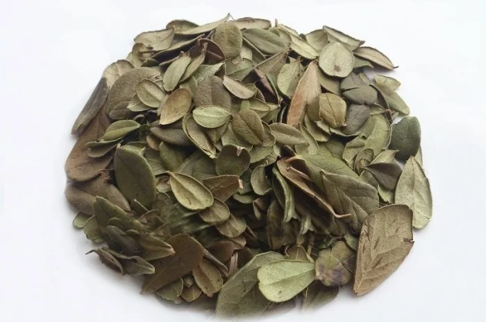 Брусника (лист) 1кг- фото № 1