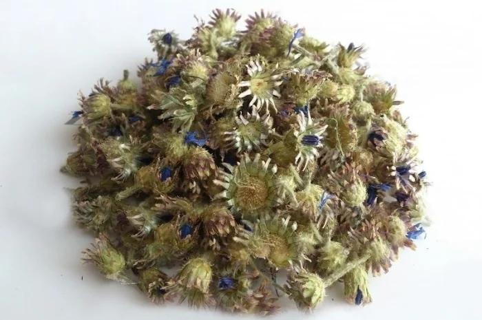 Василек ( Волошка) (цвет) 1кг- фото № 1