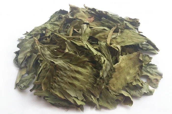 Вахта трехлистная (листья) 1 кг- фото № 1