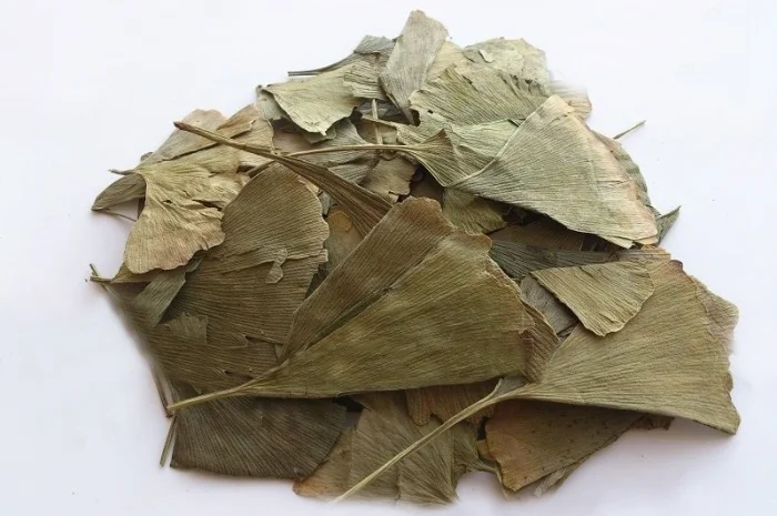 Гинкго билоба (листья) 1 кг- фото № 1