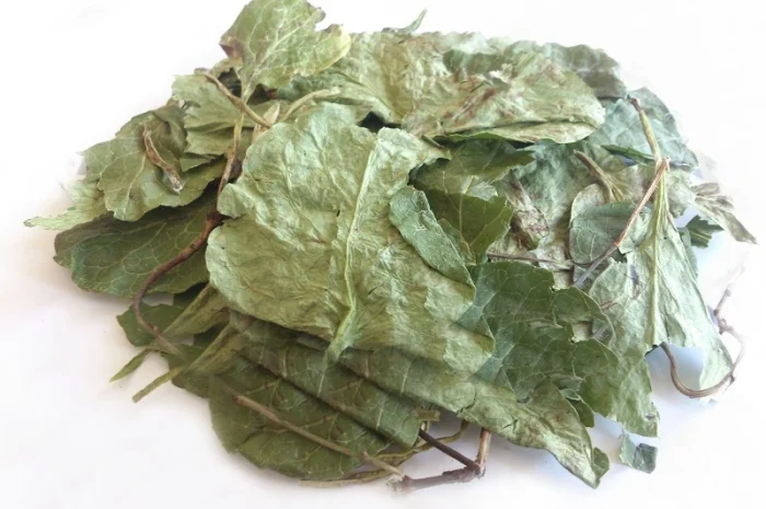 Грушанка (лист) 1кг- фото № 1